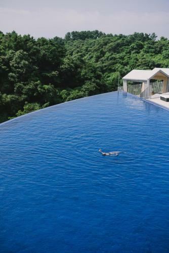 Hidden Cliff Hotel And Nature