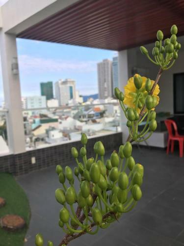 R & R Apartments