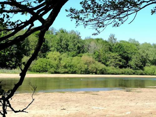 G�tes D'apothecarius Entre Namur Et Dinant