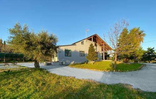 Agroturismo Olive Grove