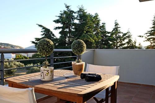 Garden Villa