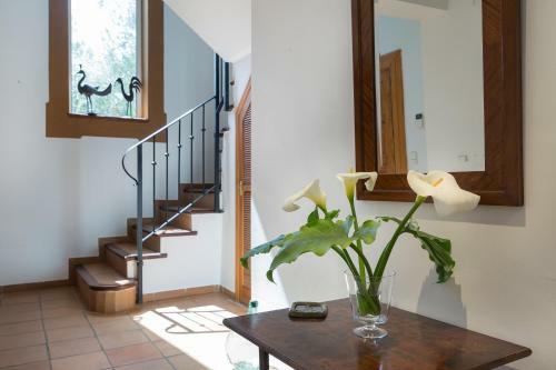 Villa Son Fred