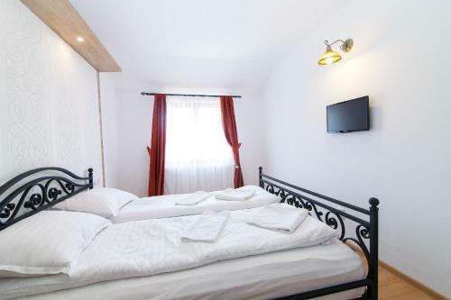 Hotel Pensiunea Marea Alpina, Maramures