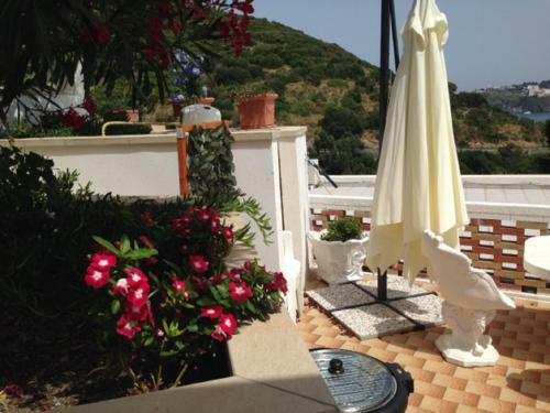 Conti Holiday Homes