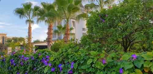 Green Garden Otel