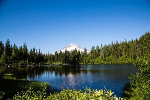 Mount Hood Village Yurt 1