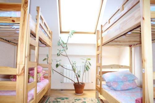 Hostal Jasmin Guest House