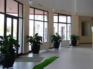 Hostal Hostel Rodia