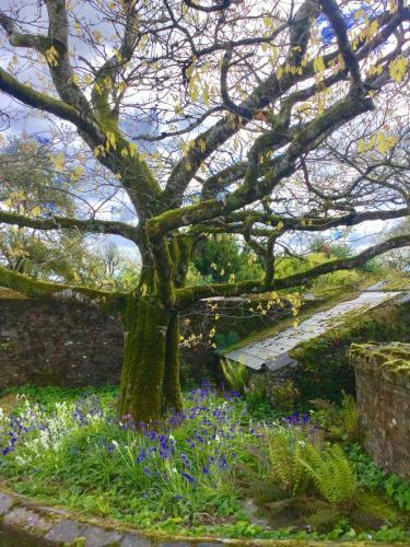 Bed & Breakfast Willowhill House