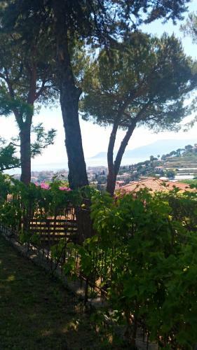 Bed & Breakfast Le Gardenie Da Fil