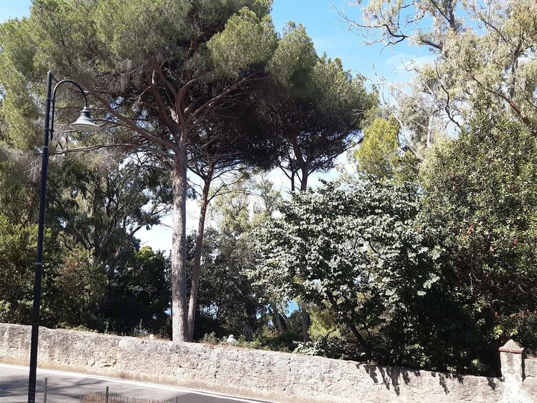 B&B Posidonia