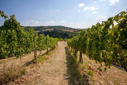 Agroturismo Il Torrione