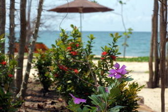 Hotel Gold Sand Beach Bungalow