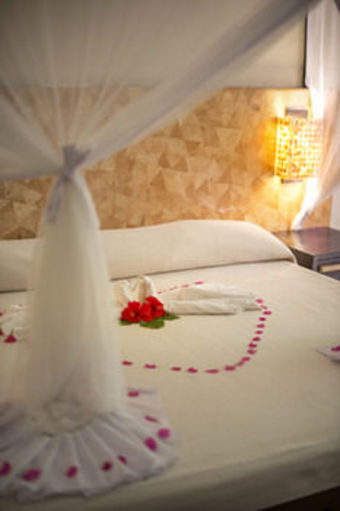 Hotel Diamonds Dream Of Africa