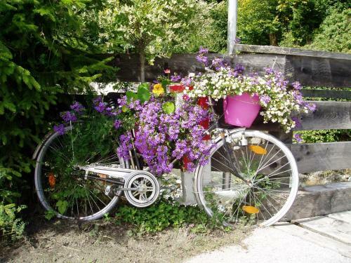 Apartamento Am Zw�lferkogel Appartements