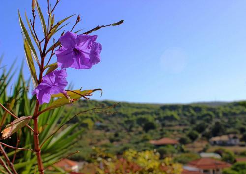 Agroturismo Casa Campanario