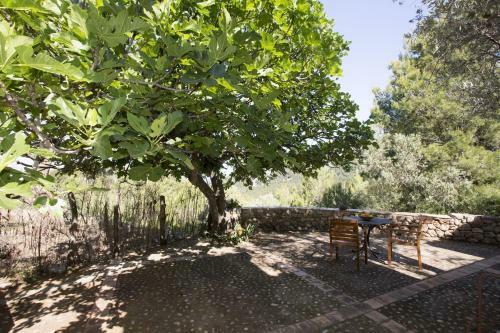 Villa Es Coco
