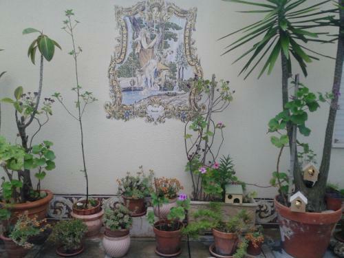 Avenida 8 Apartment