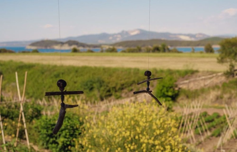 Agroturismo Torre Di Baratti Bio Resort