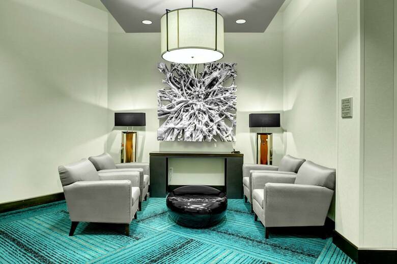 Hotel Hampton Inn And Suites Roanoke-downtown, Va