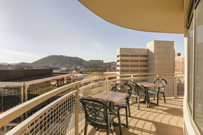 Hotel Hampton Inn And Suites Roanoke-downtown, Va