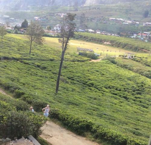 Hostal Tealeaf