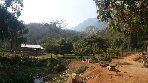 Bed & Breakfast Doo-dao-doi Farm & Stay