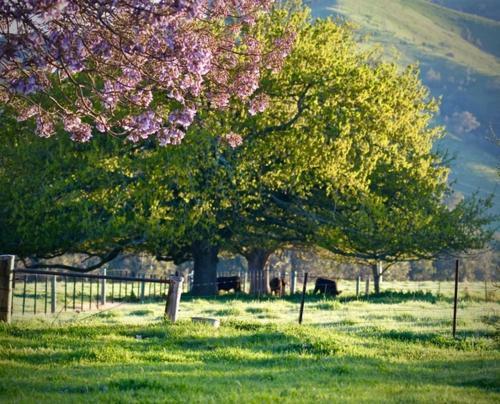 Agroturismo Alexandra Farmstay