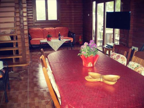 Agros Timber Log House