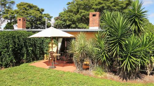Gumtree On Gillies Bed And Breakfast