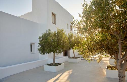 Hotel Milos Breeze