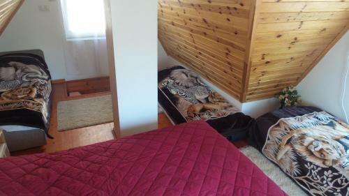 Tiszavir�g Vend�gh�z