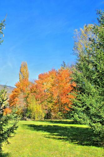 Hotel Sarre