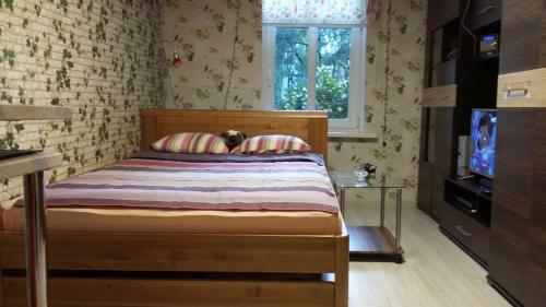 Small And Cozy Studio Apartment