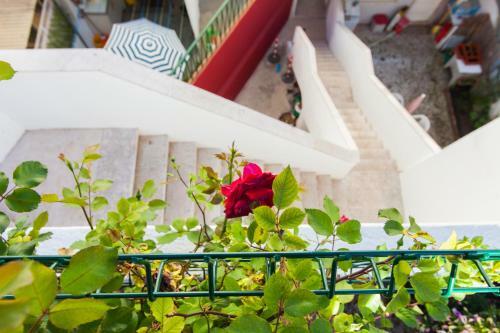 Alg�s Village Casa 2