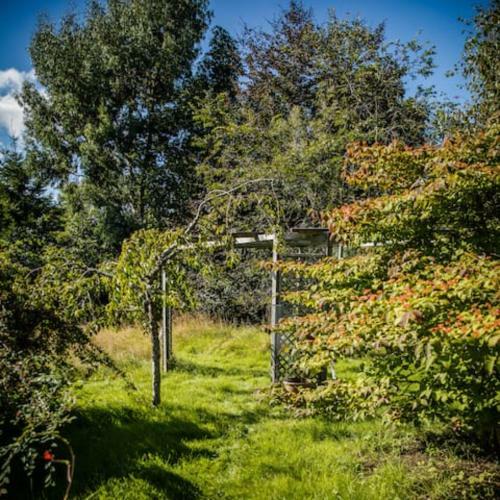 Home Comforts In Peaceful 2 Acres