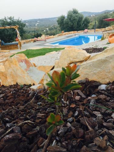 Agroturismo Villa Monte Da Alfarrobeira