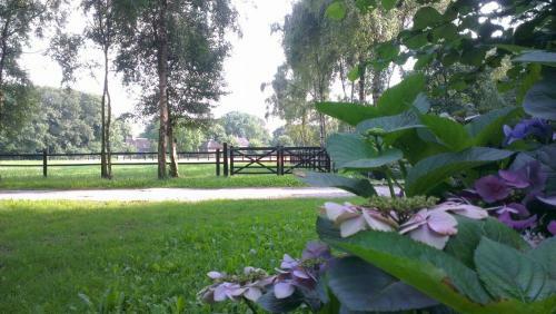 Apartamento Villa Berk En Heide