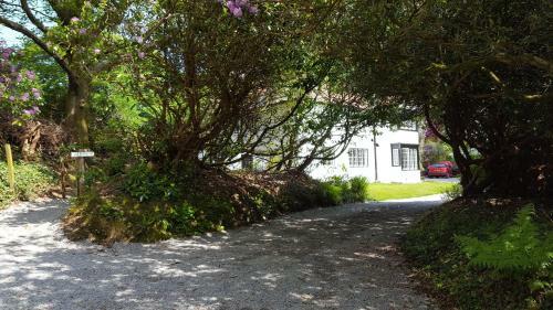 Bed & Breakfast Cruachan House