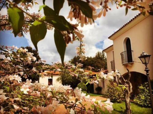 Hotel Taloro
