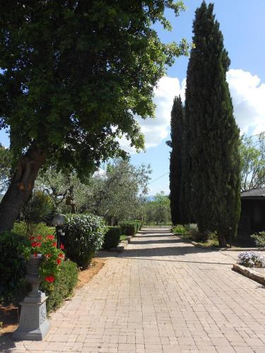 Mulino Di Mezzo