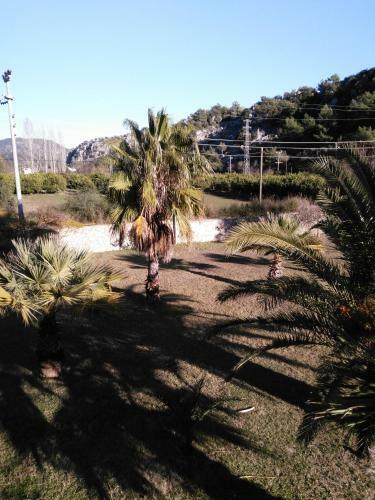 The Palm Apart Sarigerme
