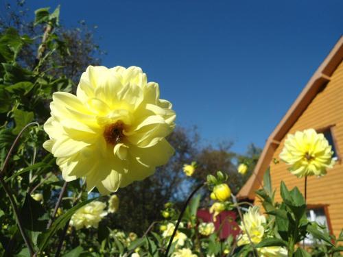 Hostal Holiday Home Lancedor