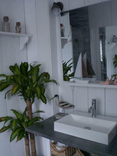 G�te Timellen
