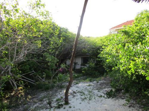 Turtle Bay Bed And Breakfast