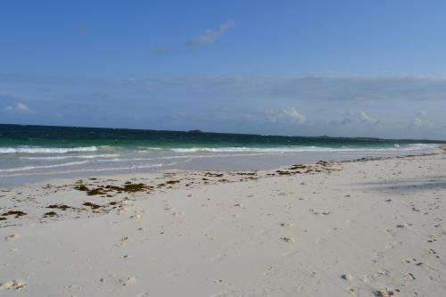 Turtle Bay Bed And Breakfast