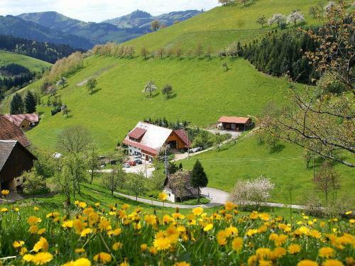 Apartamento Unterer Gurethshof