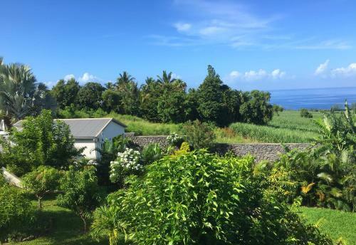 Apartamento R�sidence Oasis De Terre Rouge
