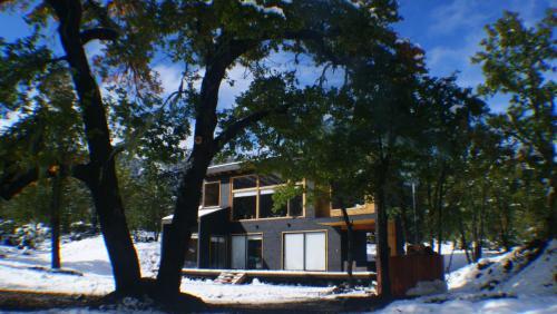 El Viejo Roble