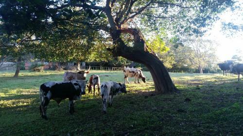 Seaforth Farm B&B